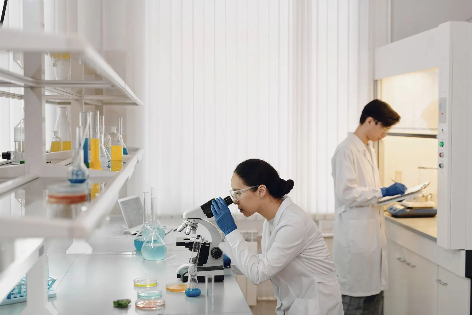 Researchers at microscopes in a bright laboratory.